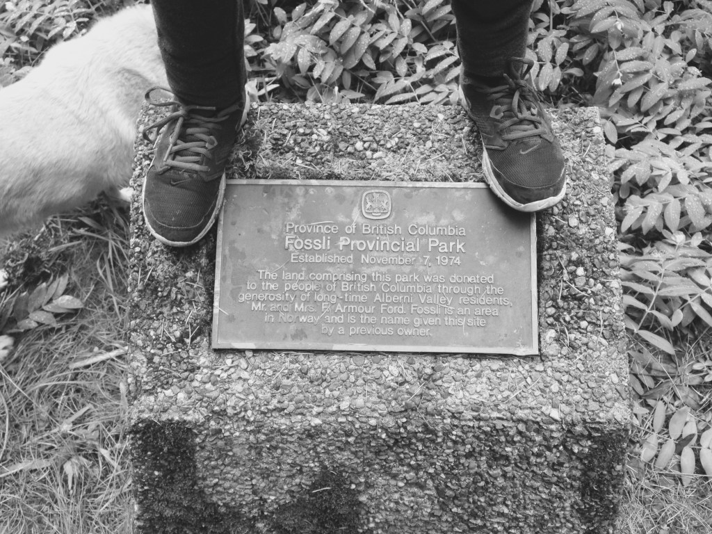 Fossli Provincial Park