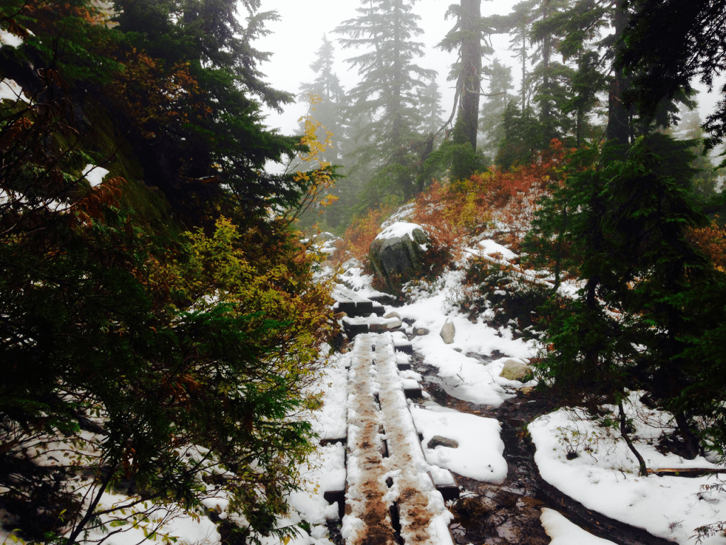 Black Mountain + Cabin&nbsp;Lake