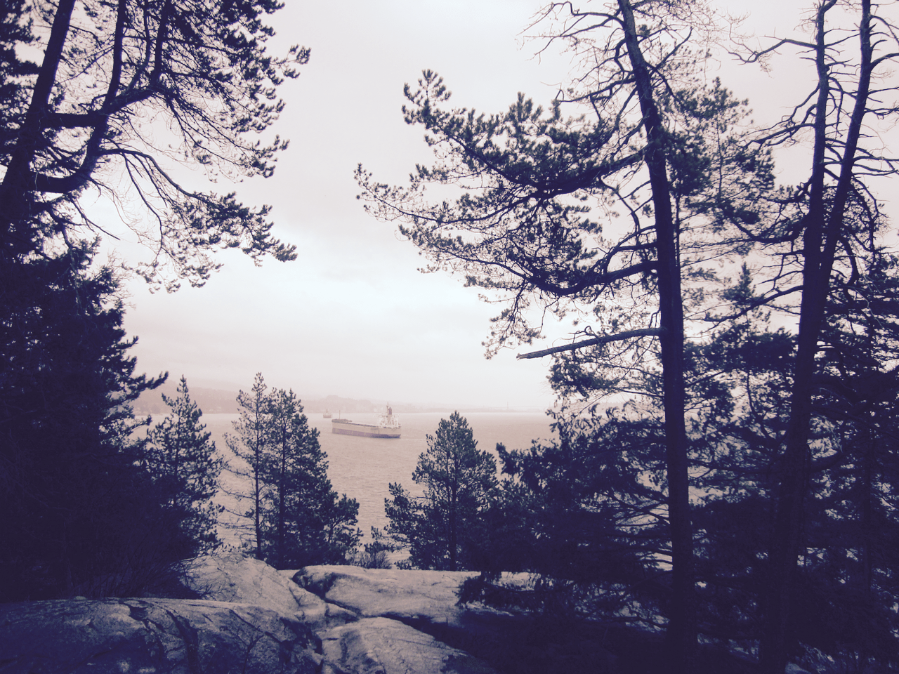 Lighthousepark201802