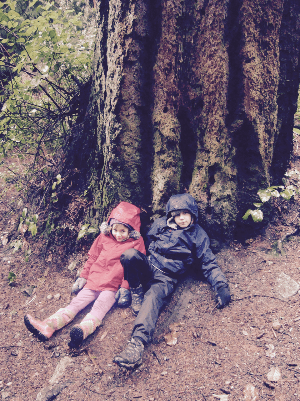 Lighthousepark201804