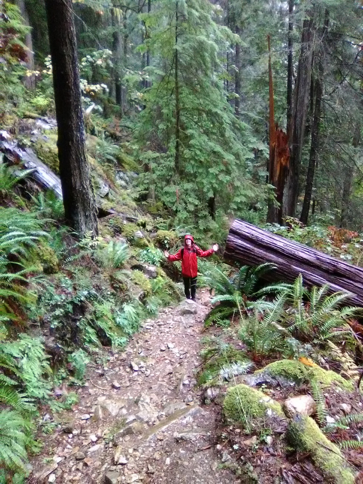 IMG_20180916_094700_1